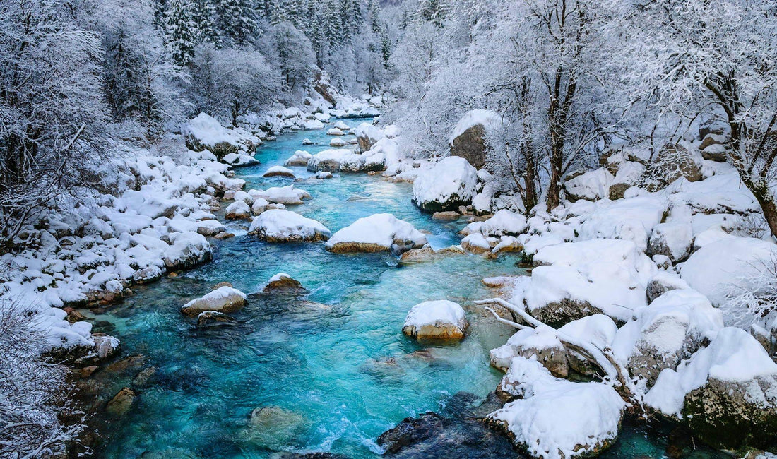 Discover New England Inspired Beauty with Natural Skincare Ingredients