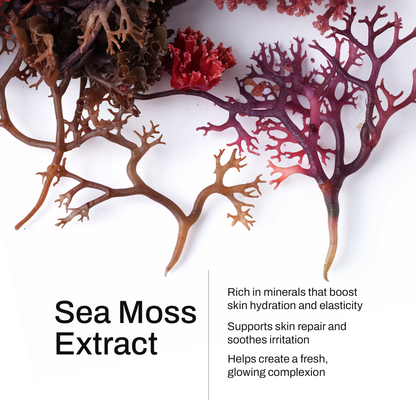 Manuka Honey & Sea Moss Body Oil