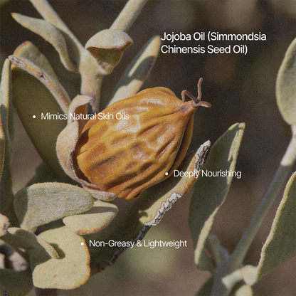 Pro-Aging Nourishing Face Crème