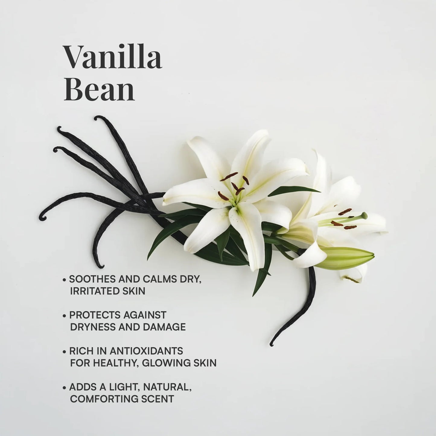 Vanilla bean whipped tallow moisturizer by Adorn Skin Care soothes dry skin and provides antioxidant protection