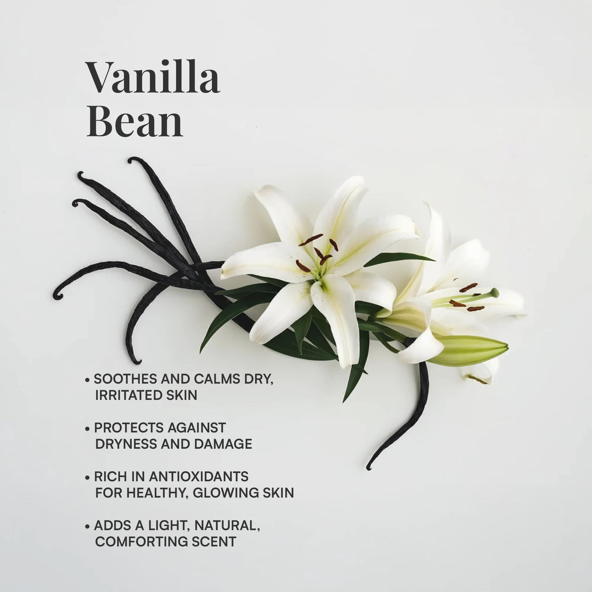 Vanilla bean whipped tallow moisturizer by Adorn Skin Care soothes dry skin and provides antioxidant protection